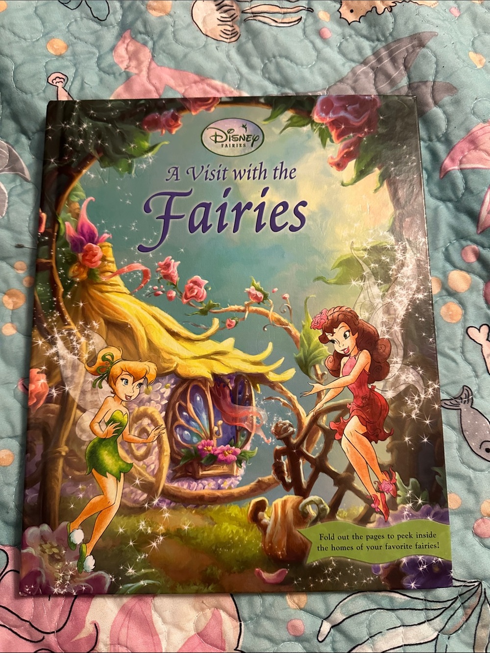 Disney Fairies Book - hardback